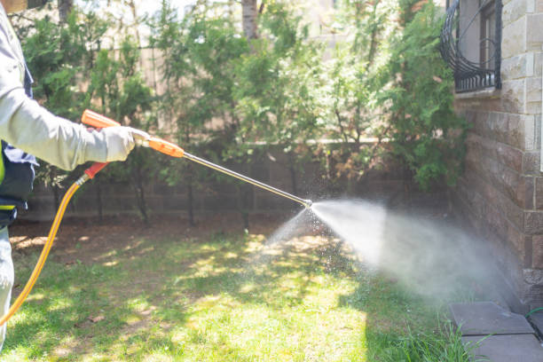 Indoor Pest Control in Edgewood, WA